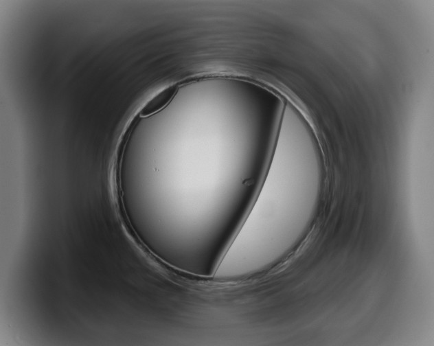 X0000099501293200805150941