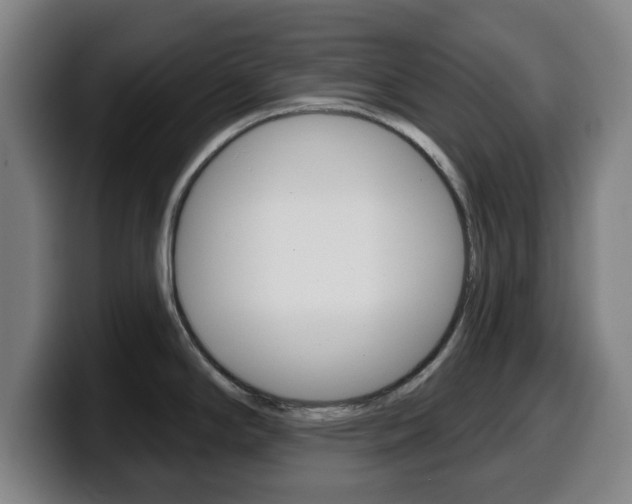 X0000099501294200805150941