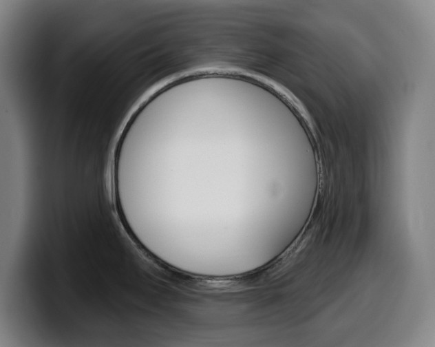 X0000099501295200805150941