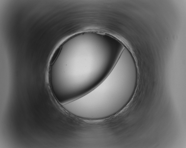 X0000099501296200805150941