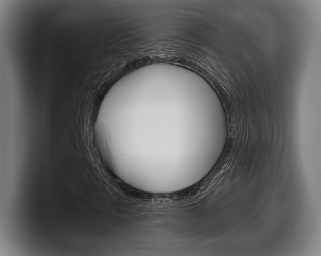 X0000099501297200805150941