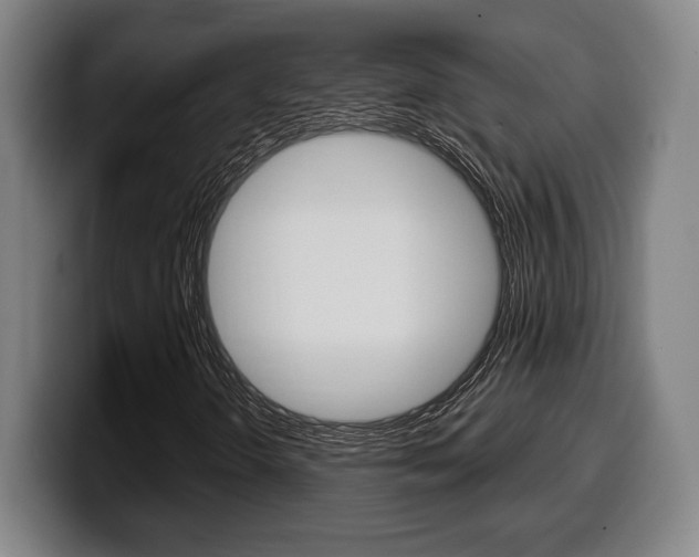 X0000099501298200805150941