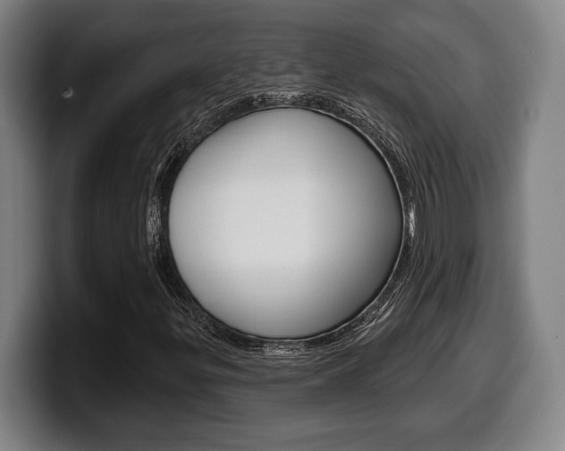 X0000099501299200805150941
