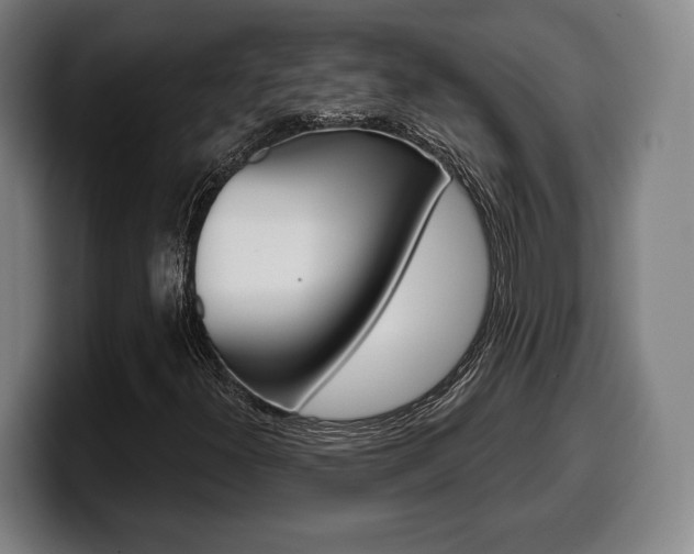 X0000099501300200805150941