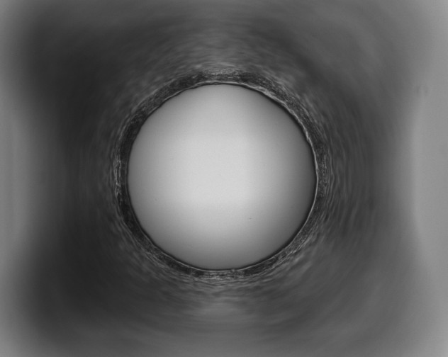 X0000099501301200805150941