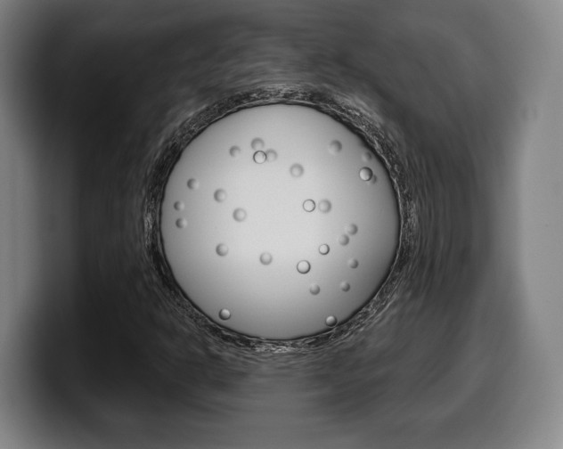 X0000099501302200805150941