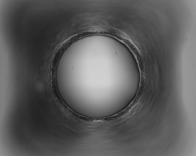 X0000099501304200805150941