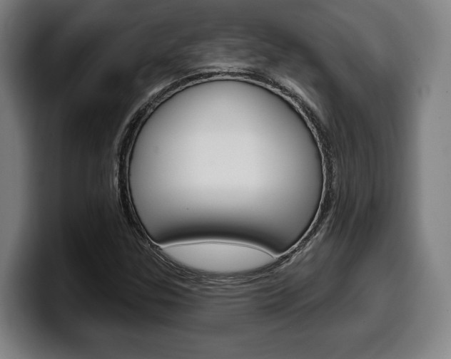 X0000099501307200805150941