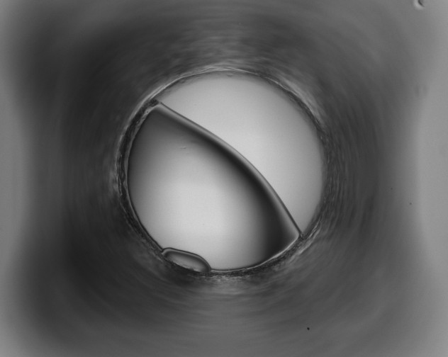 X0000099501308200805150941