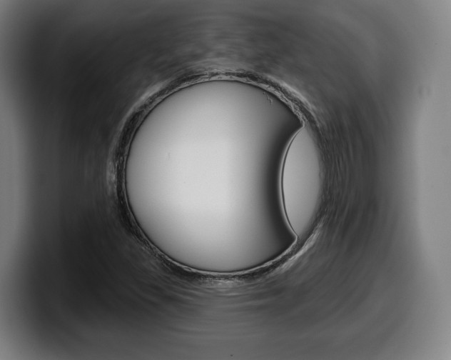 X0000099501309200805150941