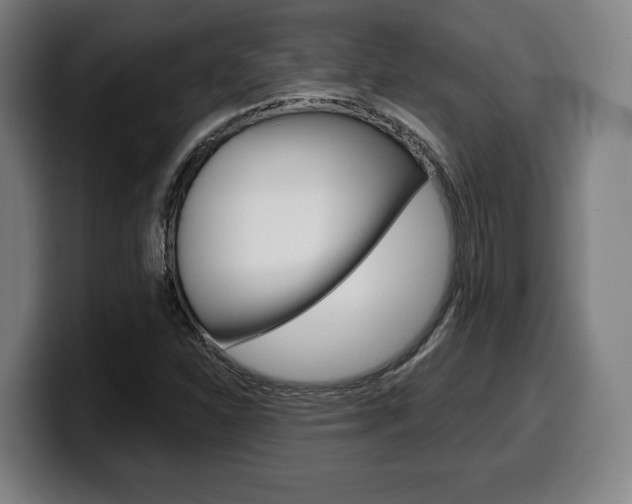 X0000099501310200805150941
