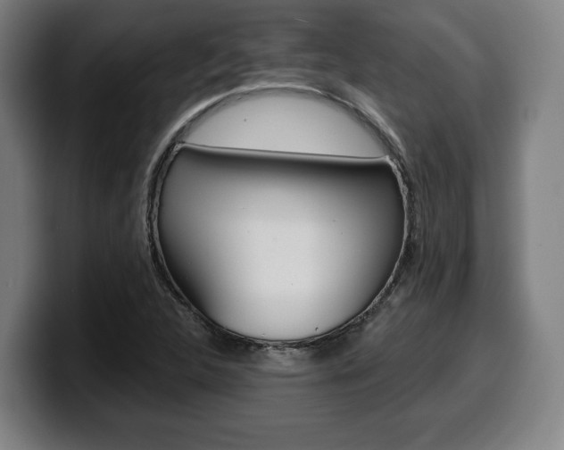 X0000099501312200805150941