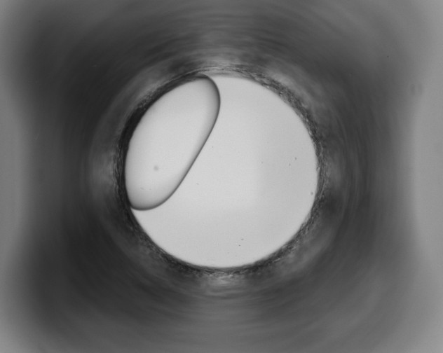 X0000099501314200805150941