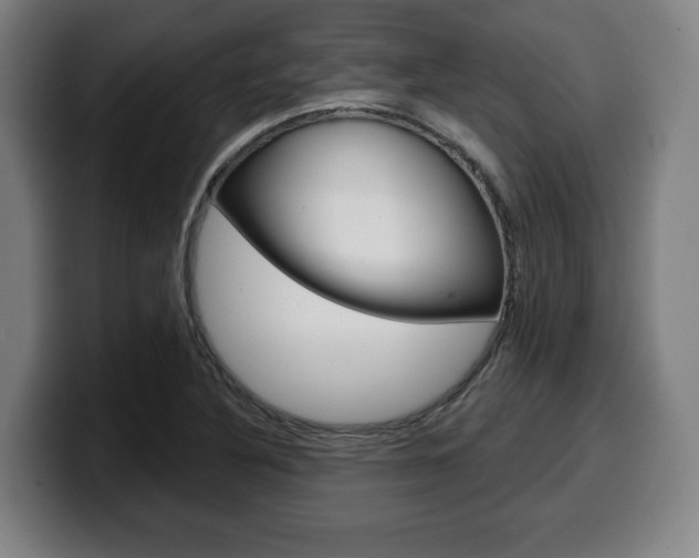 X0000099501316200805150941