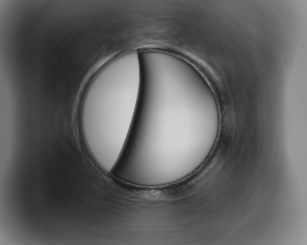 X0000099501317200805150941