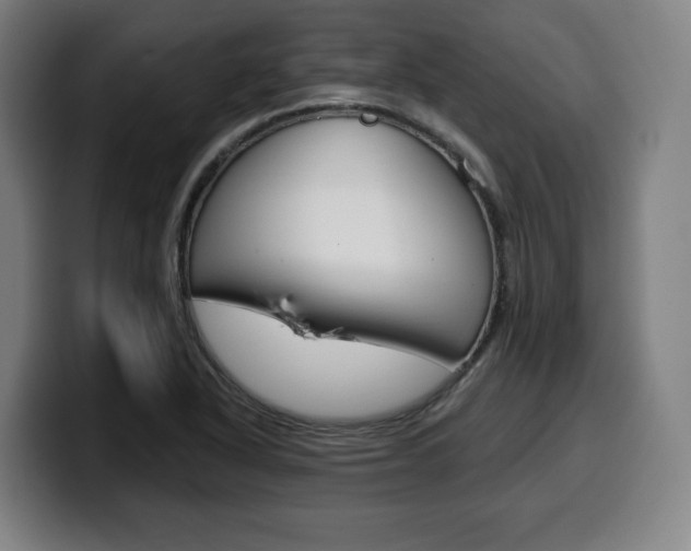 X0000099501318200805150941