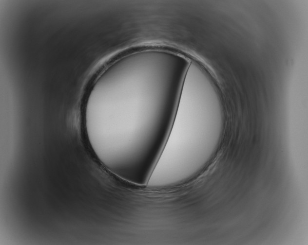 X0000099501319200805150941