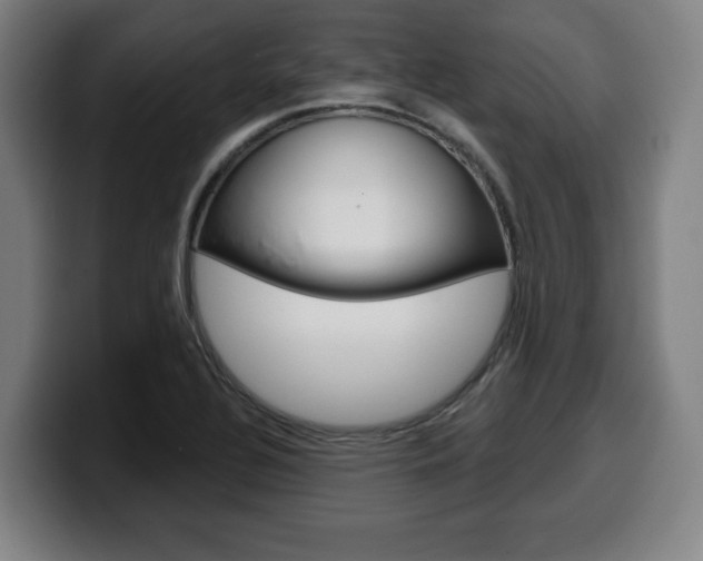 X0000099501320200805150941
