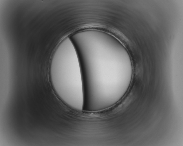 X0000099501321200805150941