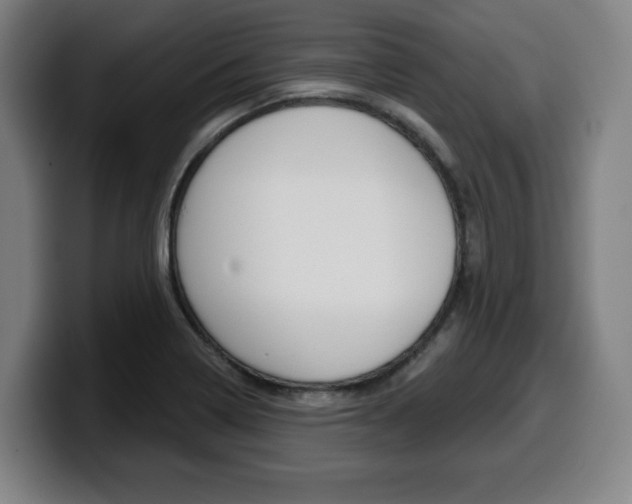 X0000099501322200805150941