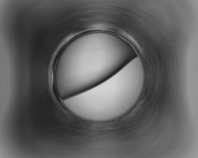 X0000099501323200805150941
