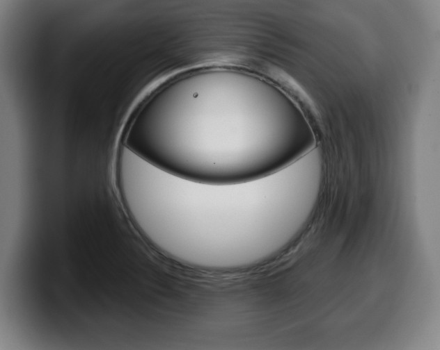 X0000099501324200805150941