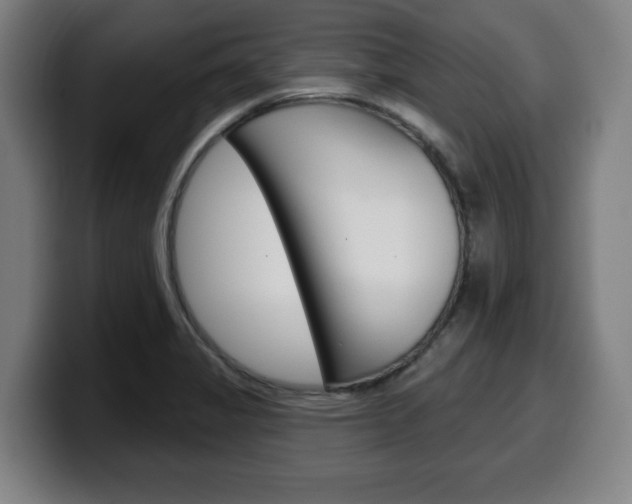 X0000099501325200805150941