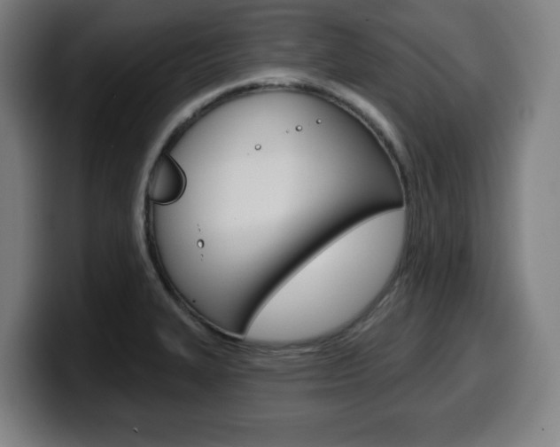 X0000099501327200805150941