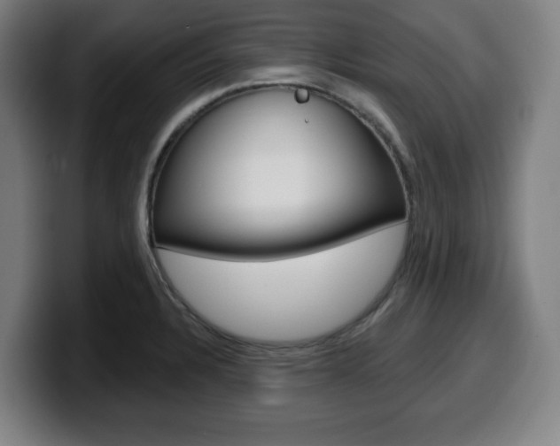 X0000099501328200805150941
