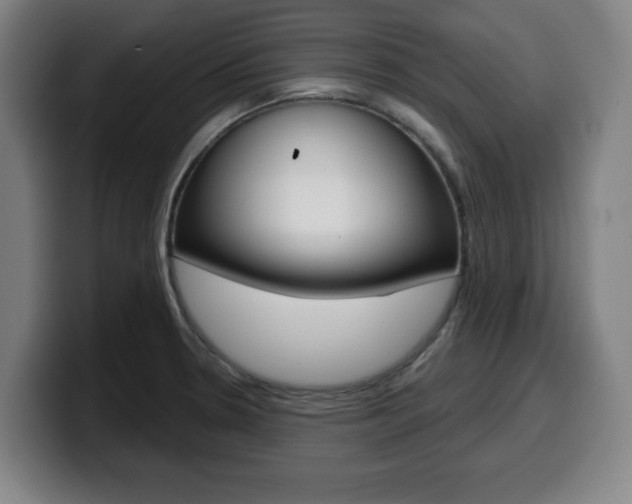 X0000099501330200805150941