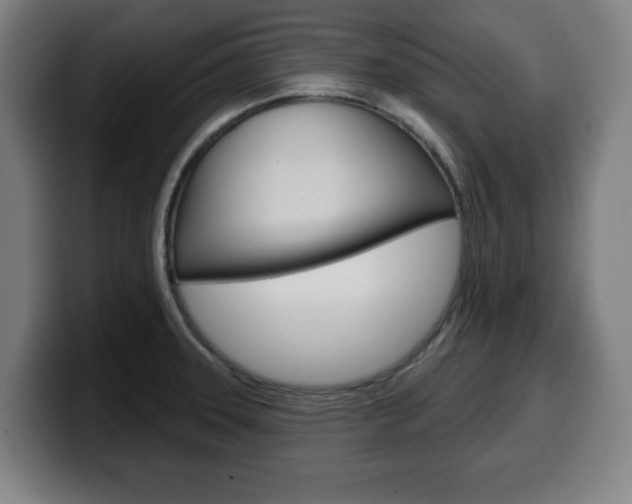 X0000099501331200805150941