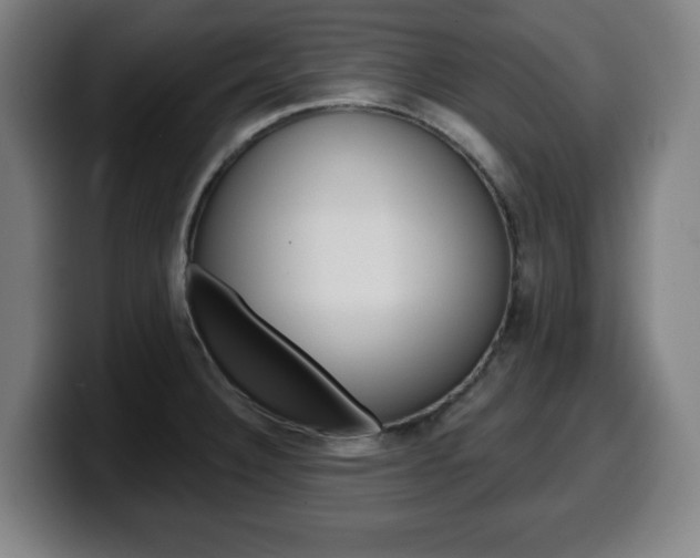 X0000099501332200805150941