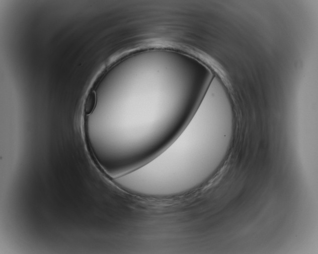 X0000099501334200805150941