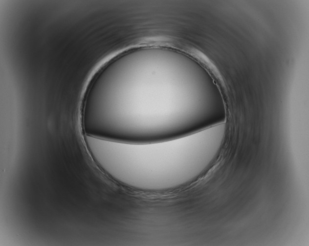 X0000099501336200805150941
