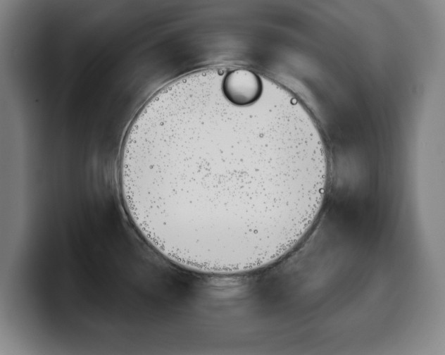 X0000099501338200805150941