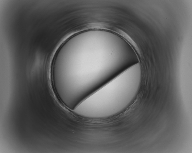X0000099501339200805150941