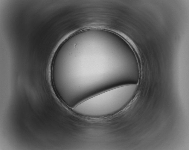 X0000099501341200805150941