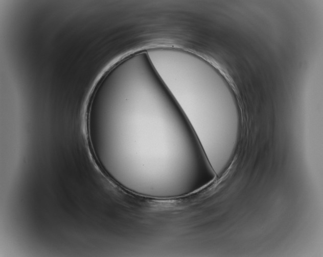 X0000099501342200805150941