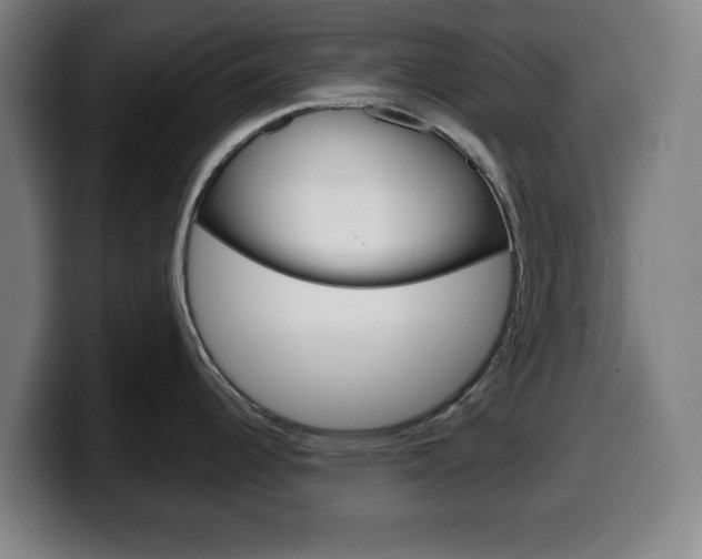 X0000099501344200805150941