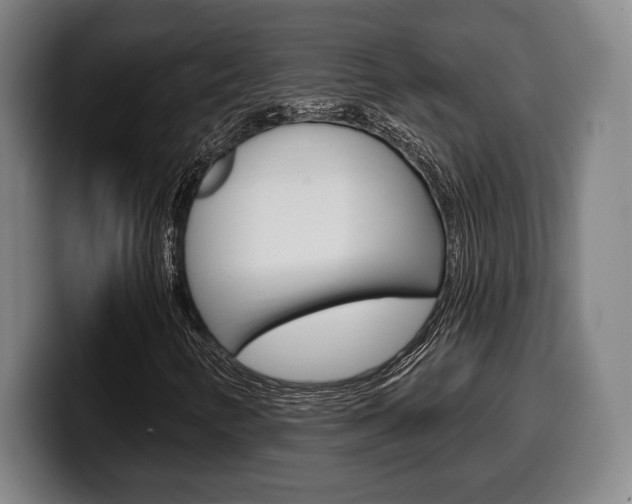 X0000099501346200805150941