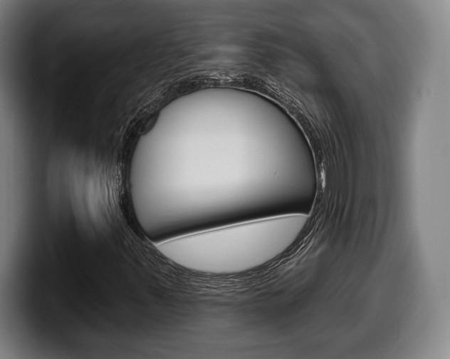 X0000099501347200805150941