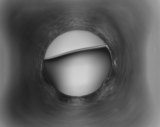 X0000099501348200805150941