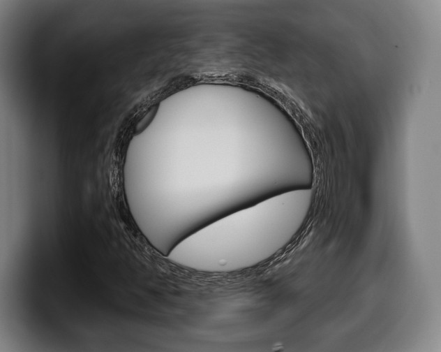 X0000099501350200805150941