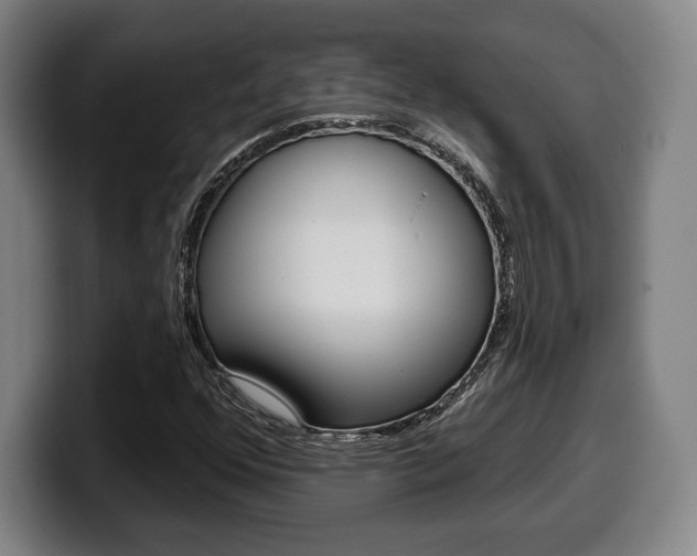 X0000099501352200805150941