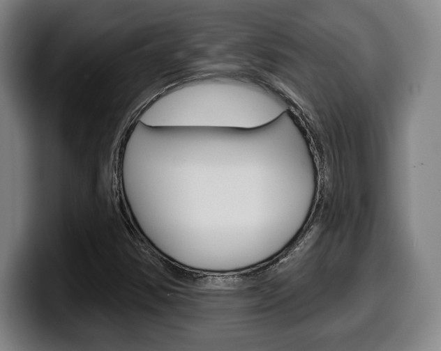 X0000099501354200805150941