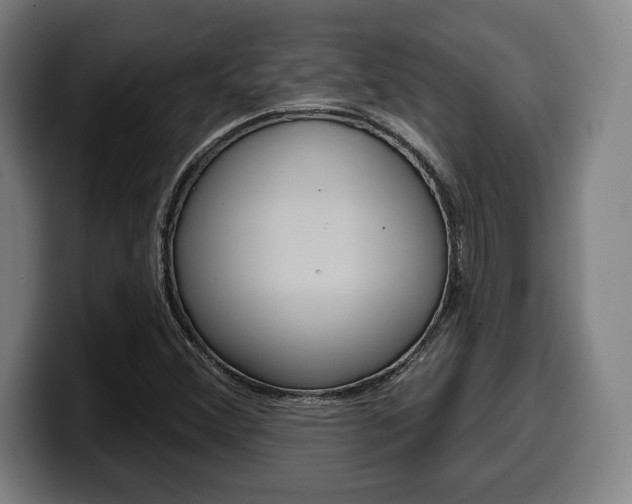 X0000099501356200805150940