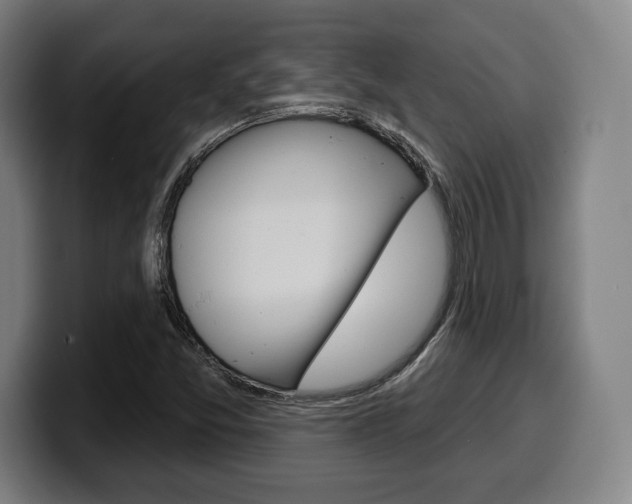 X0000099501357200805150940
