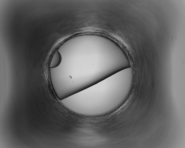 X0000099501358200805150940