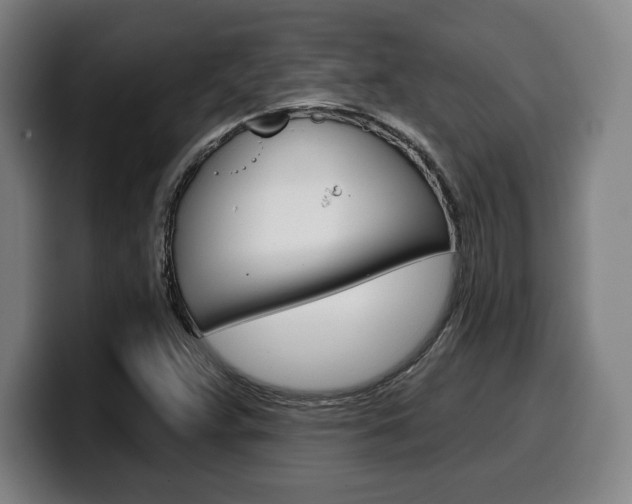 X0000099501359200805150940
