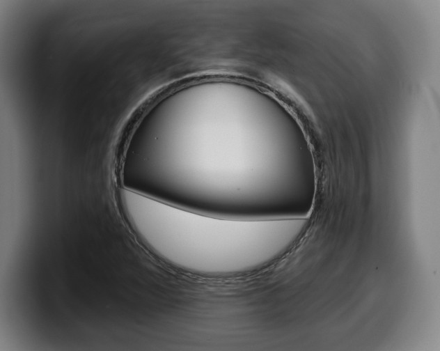 X0000099501360200805150940